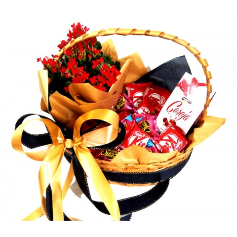 CESTA KITKAT DOURADA